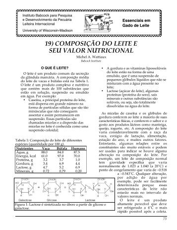 19) composiÃƒÂ§ÃƒÂ£o do leite e seu valor nutricional - Babcock Institute ...