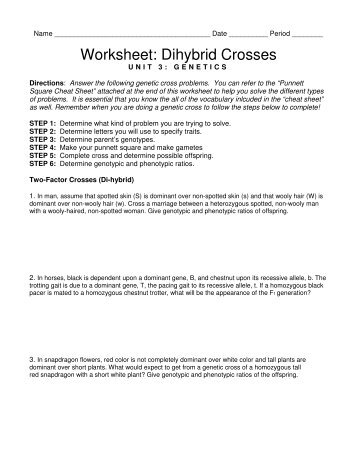 Worksheet: Dihybrid Crosses - Triton Science