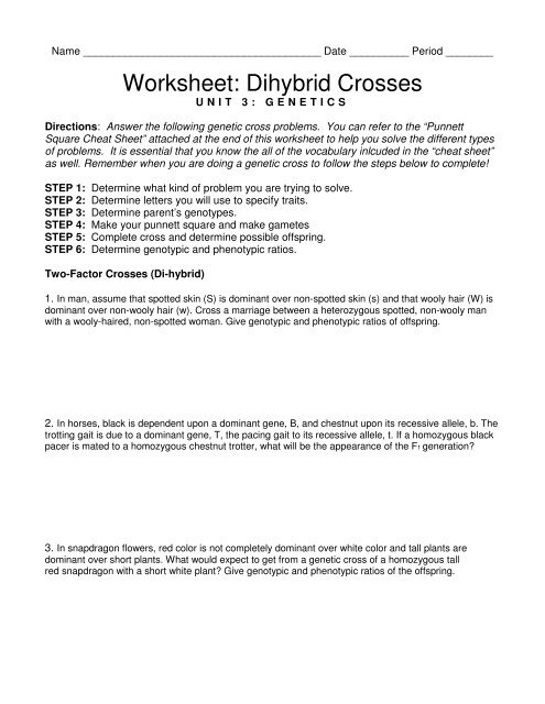 dihybrid cross punnett square worksheet