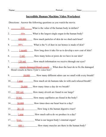 Dying To Be Thin Video Worksheet Overview