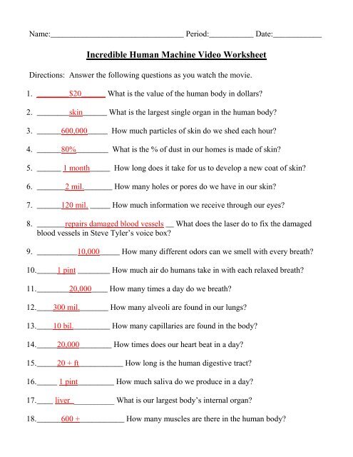 Incredible Human Machine Video Worksheet