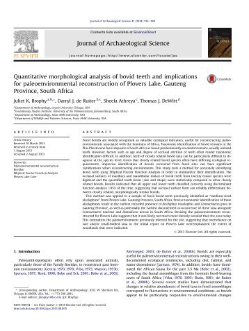 Quantitative morphological analysis of bovid teeth and ... - Tamu.edu