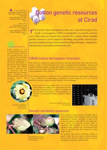Cotton genetic resources - Cirad