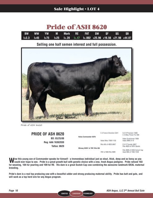 ASH ANGUS, LLC 2ND ANNUAL BULL SALE - Angus Journal