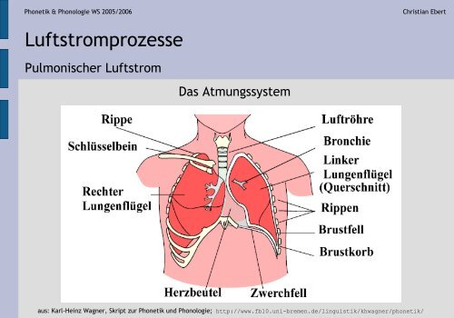 Artikulatorische Phonetik