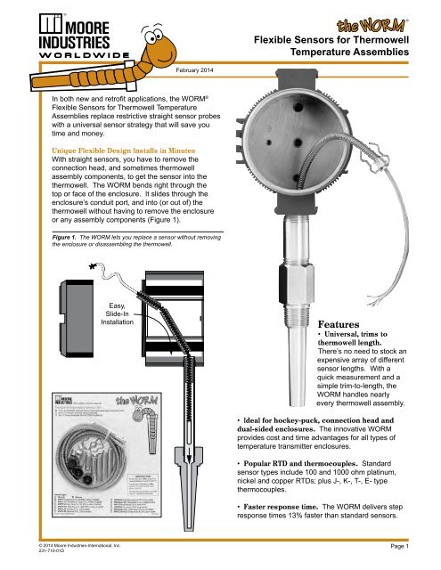 The WORM Flexible Sensors for Thermowell Temperature Assemblies