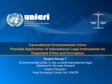 Ms. Angela Patrignani, Head of Emerging Crimes Unit, UNICRI