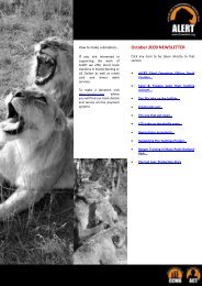 October 2009 NEWSLETTER - African Lion & Environmental ...