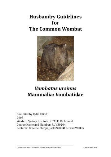 Husbandry Guidelines for The Common Wombat ... - Nswfmpa.org