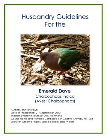 Emerald Dove Husbandry Manual - Nswfmpa.org