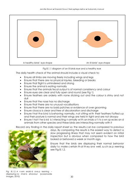 Emerald Dove Husbandry Manual - Nswfmpa.org