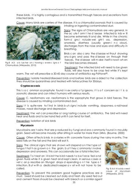 Emerald Dove Husbandry Manual - Nswfmpa.org