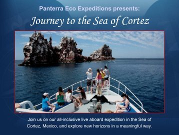 Discover the World of Panterra! - Panterra Eco-Expeditions