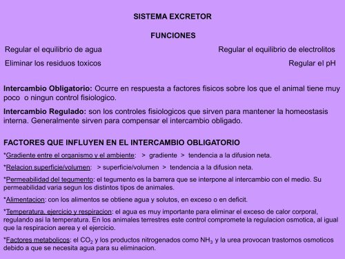 11- Sistema Excretor