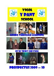 SCHOOL BROCHURE 09-10 - Y Pant School