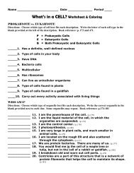 Arthropod Coloring Worksheet