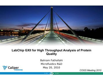 LabChip GXII for High Throughput Analysis of Protein ... - PerkinElmer