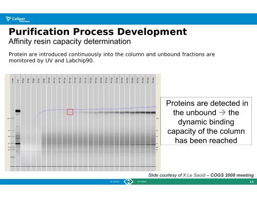 LabChip GXII for High Throughput Analysis of Protein ... - PerkinElmer