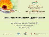 Stevia Production under the Egyptian Context - EMAP