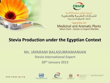 Stevia Production under the Egyptian Context - EMAP