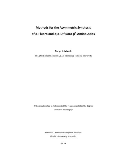 flinders university doctorate thesis