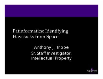 Patinformatics: Identifying Haystacks from Space