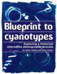 the first 22 pages of Blueprint to cyanotypes