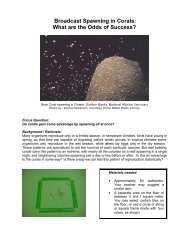 Broadcast Spawning in Corals - NOAA's Coral Reef Conservation ...