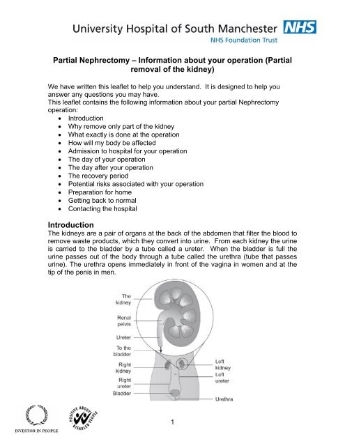 Hispanic Woman Admitted With Left Flank Pain, Quiz - Renal and Urology News