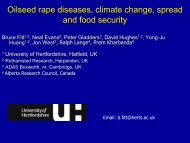 Oilseed rape diseases - Canola Council of Canada