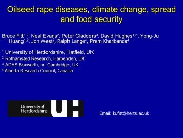 Oilseed rape diseases - Canola Council of Canada