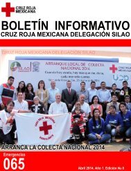 Octava Edición del Boletín Informativo de Cruz Roja Del. Silao