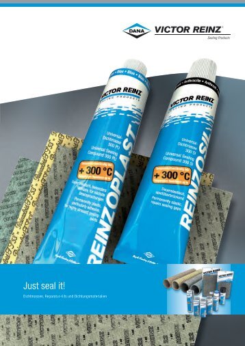 Just seal it! - REINZ Dichtungs GmbH