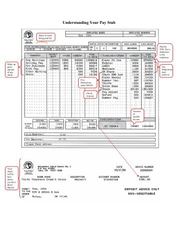 31 Understanding Your Paycheck Worksheet - Worksheet Resource Plans