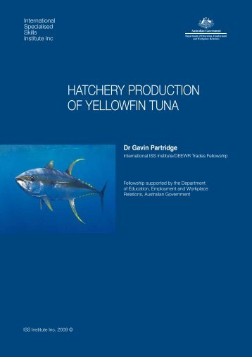 hatchery production of yellowfin tuna - International Specialised ...