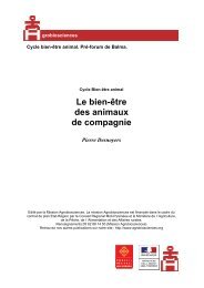 le bien-Ãªtre des animaux de compagnie. - PDF - Mission d'animation ...