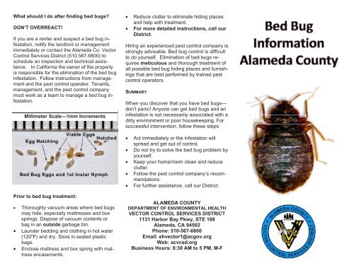 What should I do after finding bed bugs - Vector Control Services ...