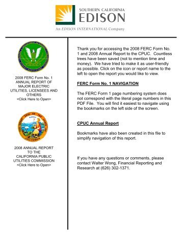 2008 FERC Form 1 and 2008 CPUC Annual Report - Edison ...