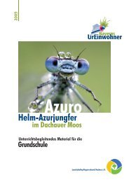 Helm-Azurjungfer - Bayerns UrEinwohner