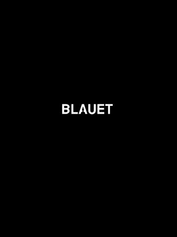 Descargar catálogo - Blauet