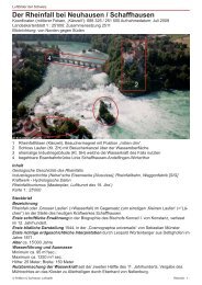 Der Rheinfall bei Neuhausen / Schaffhausen - Luftbilder der Schweiz