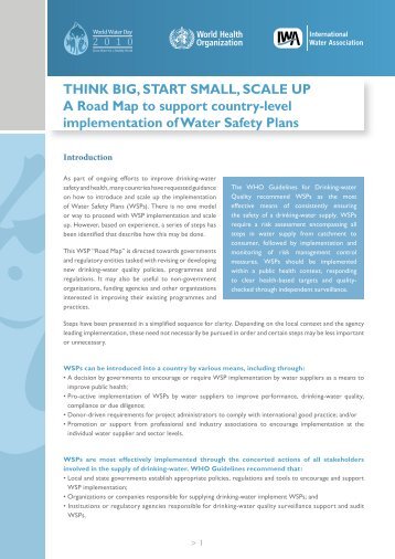 THINK BIG, START SMALL, SCALE UP A Road Map to support - IWA