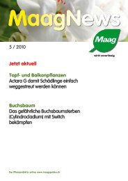 5 / 2010 Jetzt aktuell Topf- und Balkonpflanzen ... - Maag Garden