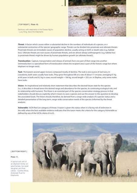 Conservation and Management Strategy for the Elephant in Kenya