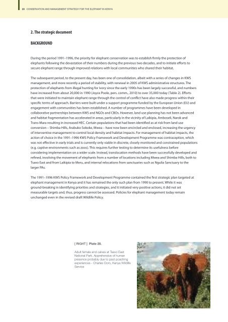 Conservation and Management Strategy for the Elephant in Kenya