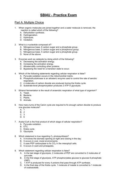 Sbi4U Sample Exam 2012 Sbi4U Sample Exam 2012