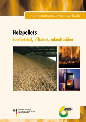 "Holzpellets" (pdf-Datei - 2,4 MB) - HAAK energie.systeme