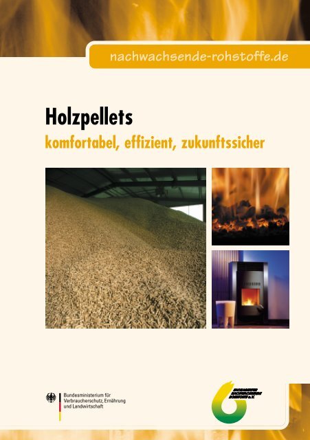 "Holzpellets" (pdf-Datei - 2,4 MB) - HAAK energie.systeme