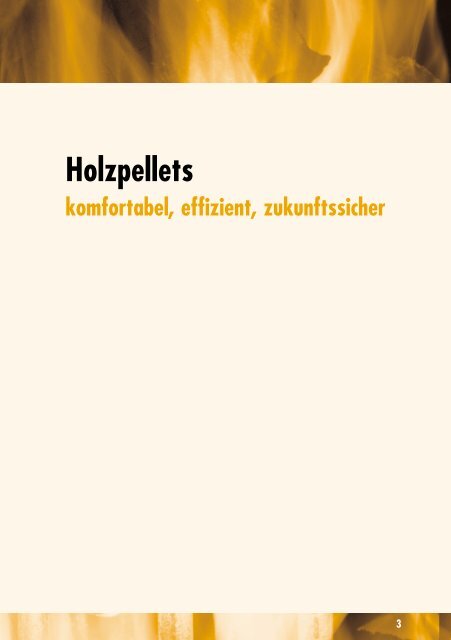 "Holzpellets" (pdf-Datei - 2,4 MB) - HAAK energie.systeme