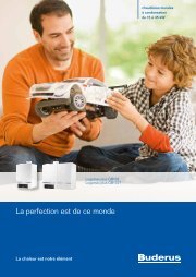 La perfection est de ce monde
